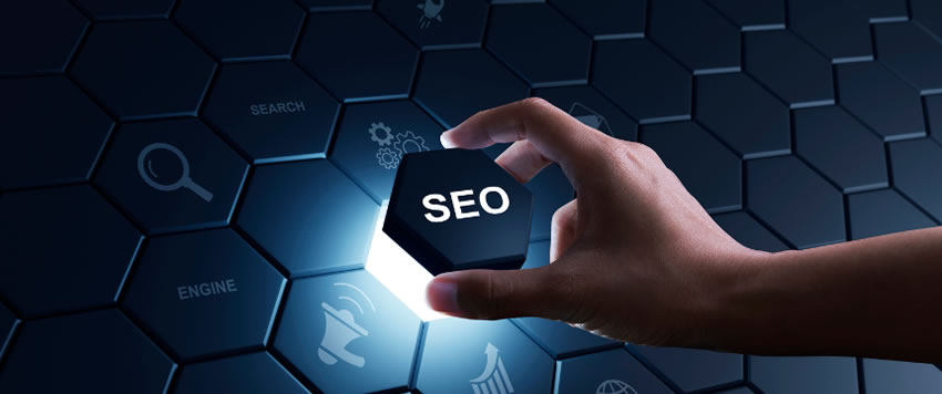 SEO expert moncton au Canada